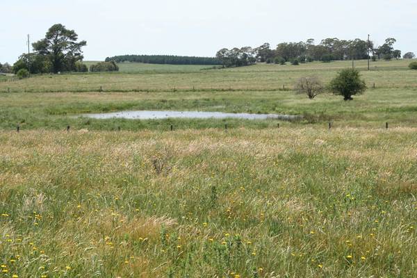 Lot 2 Whiley Road, Spring Hill Picture 1