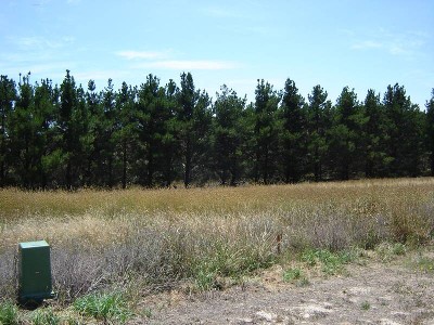 Lots 35, 40 and 41 Johnstone Street, Blayney Picture Lots 35, 40 and 41 Johnstone Street, Blayney Picture