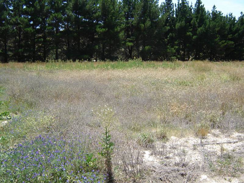 Lots 35, 40 and 41 Johnstone Street, Blayney Picture 2