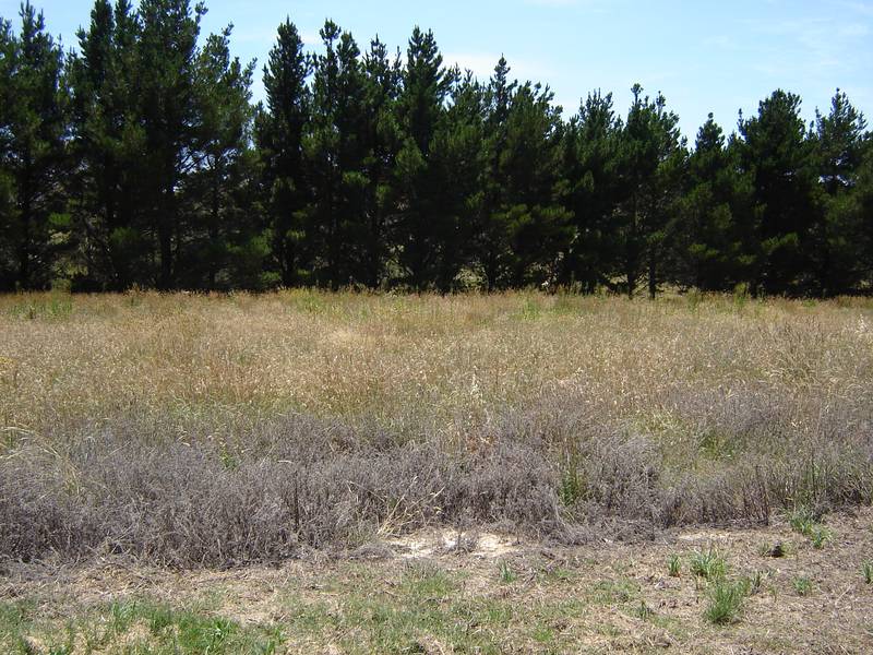 Lots 35, 40 and 41 Johnstone Street, Blayney Picture 3