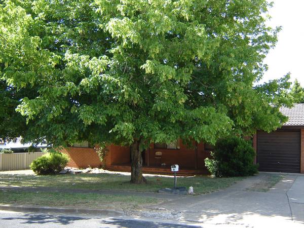8 TUMULLA STREET, BLAYNEY Picture 1