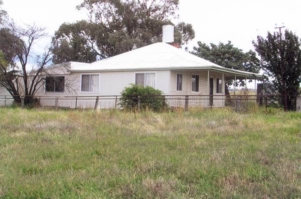 Cranky Bobs, Larra Lee via Molong Picture 1