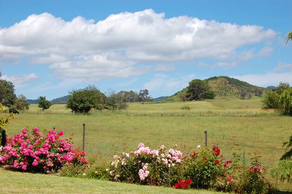 Giles Road, Orange Picture 2