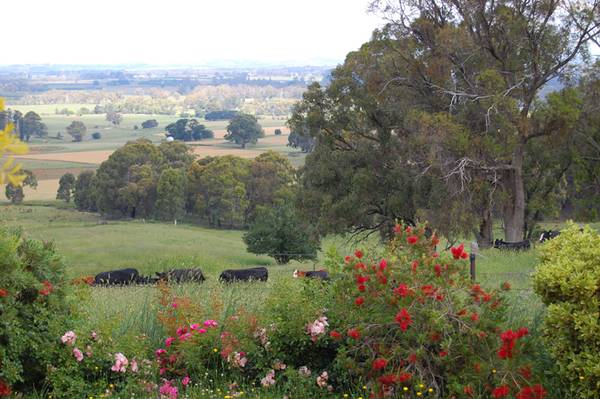 Giles Road, Orange Picture 3