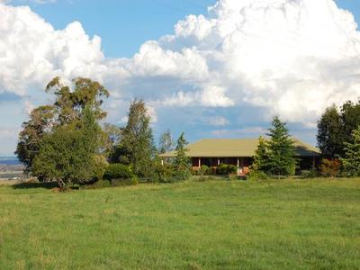 Giles Road, Orange Picture