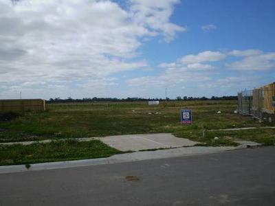 Build It Here Picture