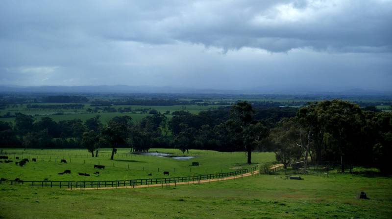 3 Bedroom house on 9 Acres Picture