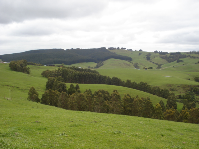 "TOP OF THE WORLD" Picture 2