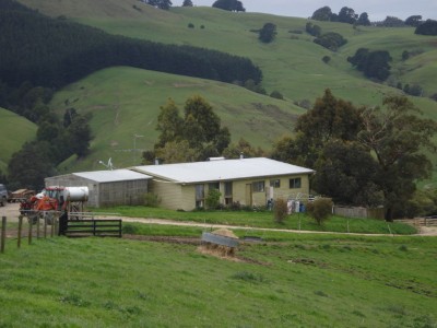 "TOP OF THE WORLD" Picture