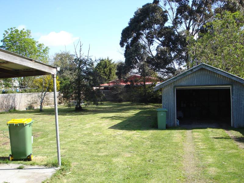 "Character Galore" Picture 2