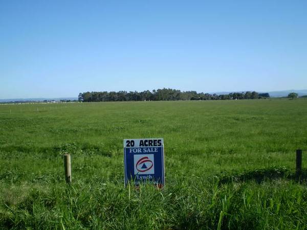 Deceased Estate Picture 1