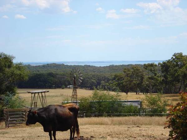 A Magnificent Gem Picture 2