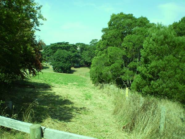 Views Over a Roaming Countryside Picture 3