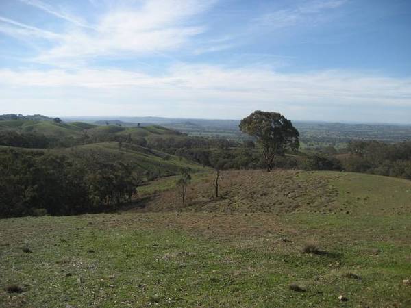 'Ti Tree Creek' 1275ha - 3150ac Picture 2