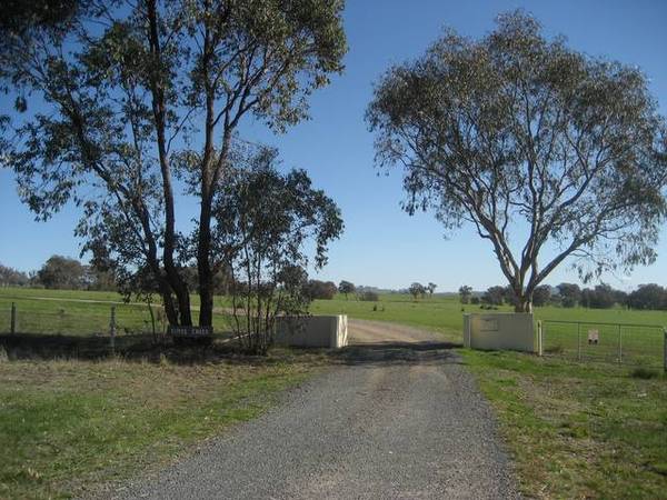 'Ti Tree Creek' 1275ha - 3150ac Picture 3