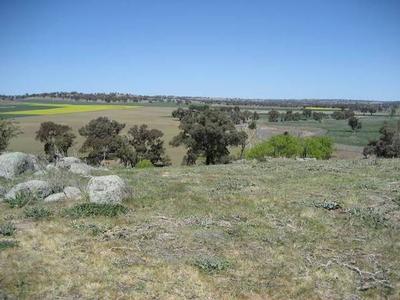 100 acres, 10 minutes from Young Picture