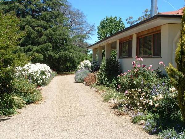 2007 SPECIAL PRICE Picture 3