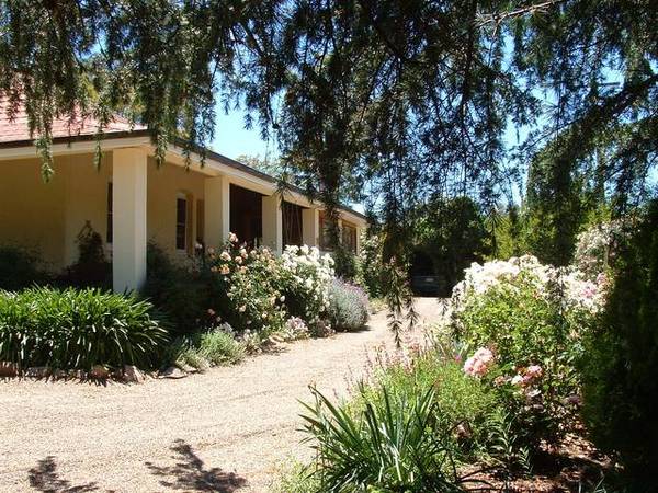 2007 SPECIAL PRICE Picture 2