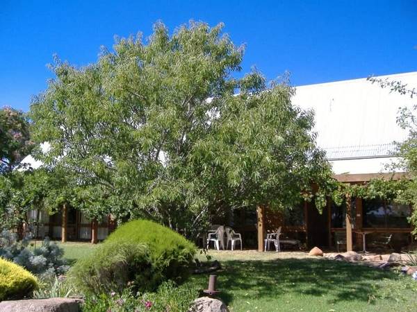 BLUE RIBBON PROPERTY Picture 1