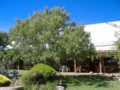 BLUE RIBBON PROPERTY Picture