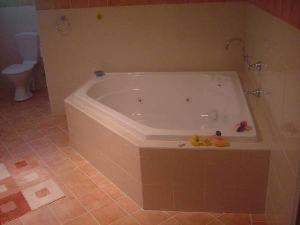 Brand New 2 Storied Home Picture 3