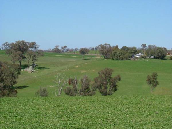 CHOICE COUNTRY PROPERTY Picture 1