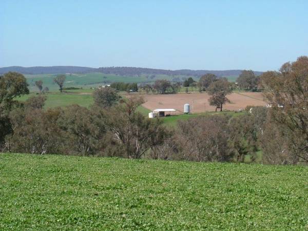 CHOICE COUNTRY PROPERTY Picture 3