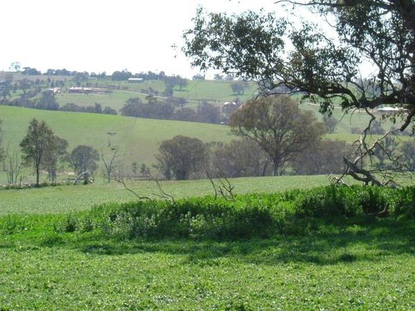 CHOICE COUNTRY PROPERTY Picture 2