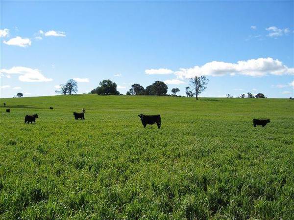 Choice Rural Land Picture 1