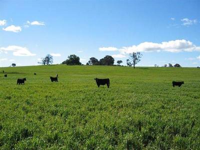 Choice Rural Land Picture