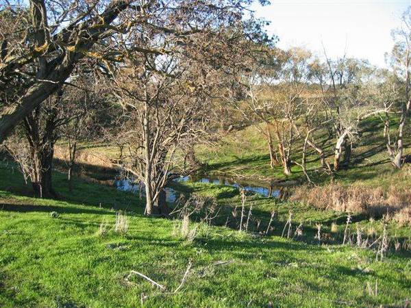 Choice Rural Land Picture 3