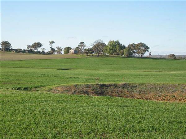 Choice Rural Land Picture 2