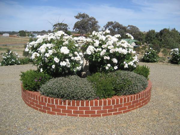 Exceptional Urban Residence Picture 3