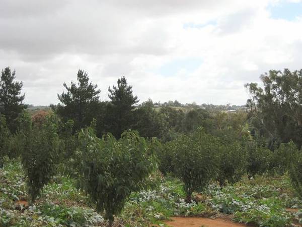 Farmlet Special Picture 2