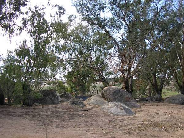 Farmlet Special Picture 2