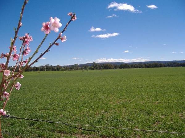 Fodder Factory-Abundant Water-Easy Access Picture 1