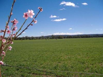 Fodder Factory-Abundant Water-Easy Access Picture