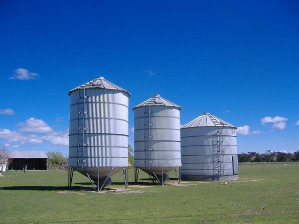 Fodder Factory-Abundant Water-Easy Access Picture 2