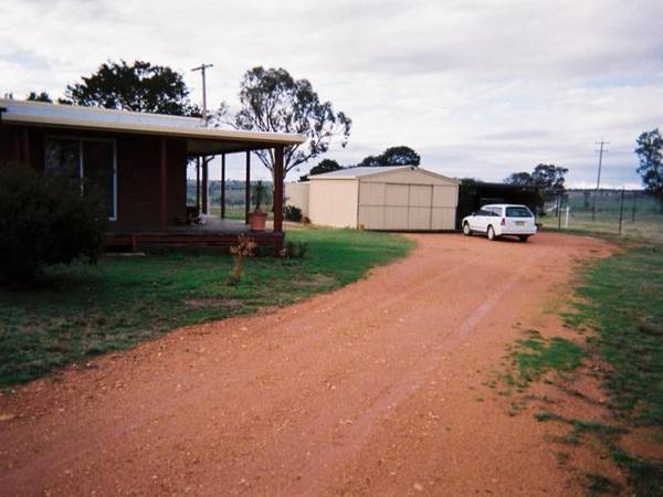 High Plateau Fattening, Grazing Country Picture 3