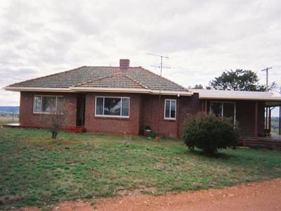 High Plateau Fattening, Grazing Country Picture