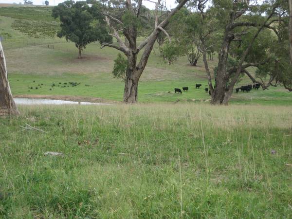 Immaculate Improvements with Never Ending Views Picture 2