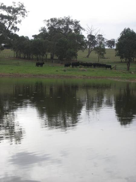 Immaculate Improvements with Never Ending Views Picture 3