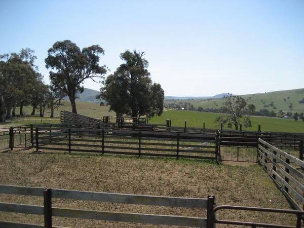 Kangaroo Mountain 2711ha - 6700ac Picture 3