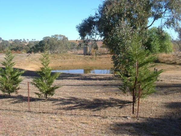 Olympic Highway Frontage Picture 2