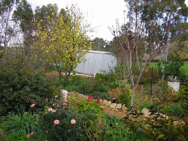 Peaceful, Private & Tranquil Picture 3