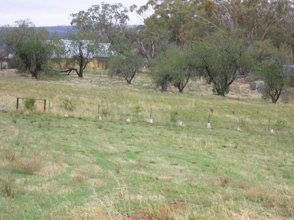 Perfect Privacy Picture 3