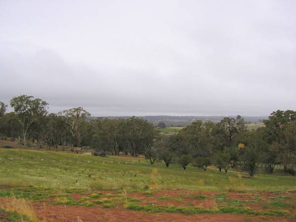 Perfect Privacy Picture 1