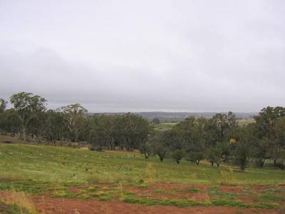 Perfect Privacy Picture Perfect Privacy Picture