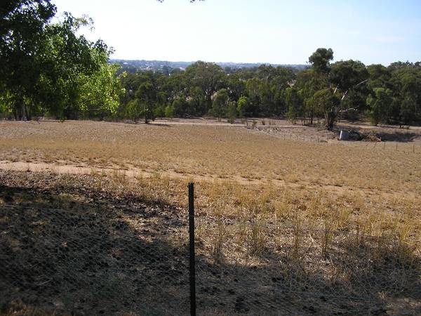 PIONEER COTTAGE on 9000m LAND PARCEL Picture 3