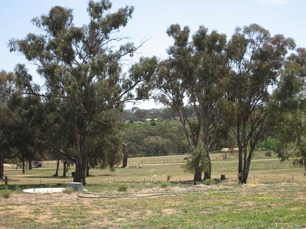 Quality, Contemporary, Spacious Picture 3